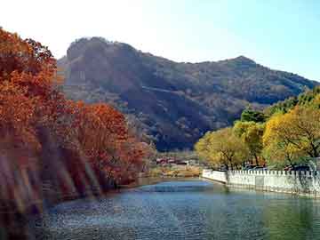 新澳天天开奖资料大全旅游团，帕坦汀